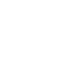 natural burger